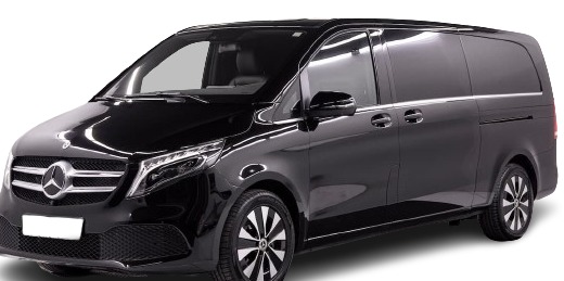 MERCEDES BENZ/V250/Long/2021