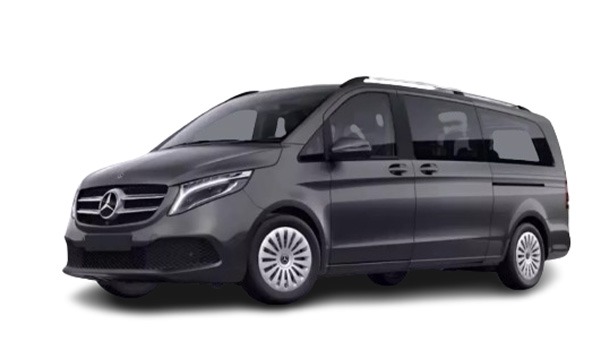 MERCEDES BENZ/V250 VIP/Extra Long/2022